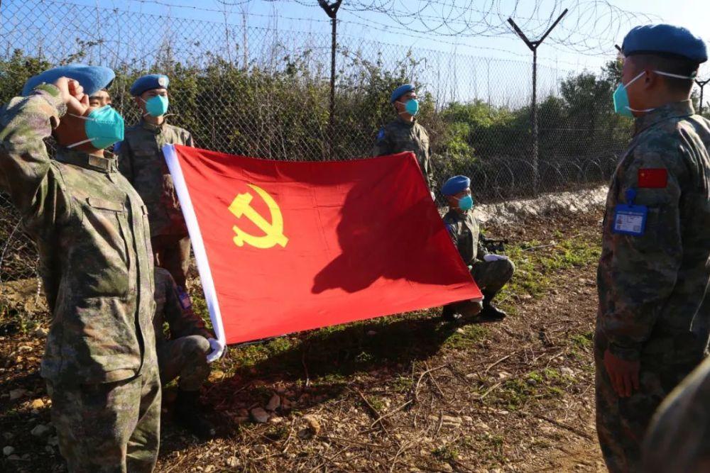 萌宠大连接
